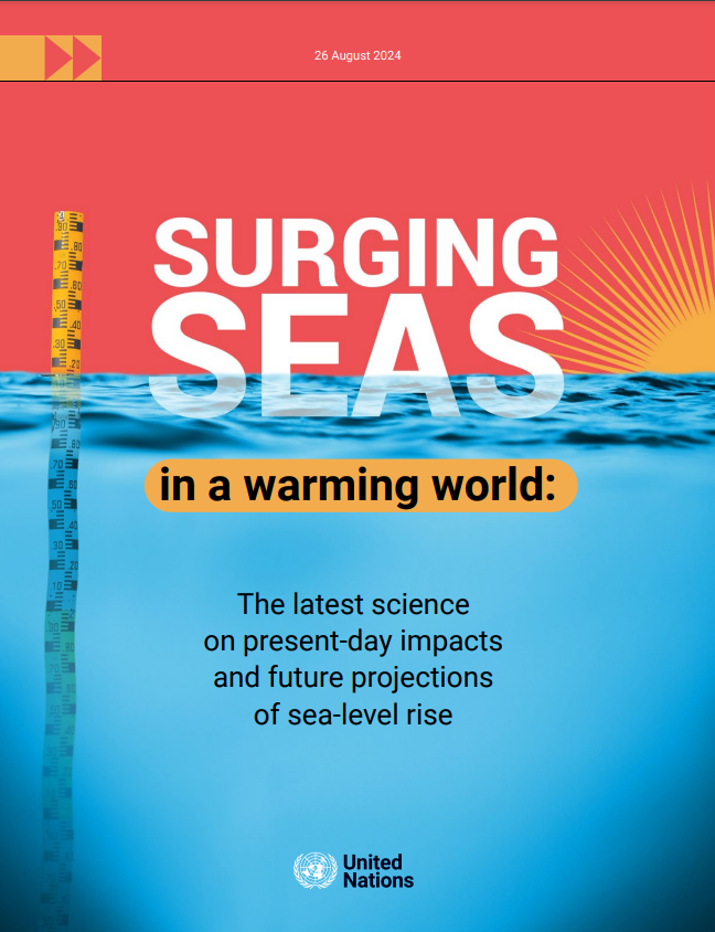 Surging Seas in a Warming World